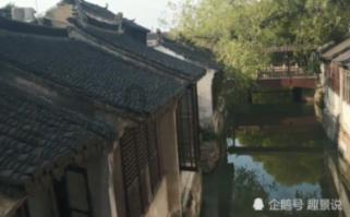 解救金刚鹦鹉